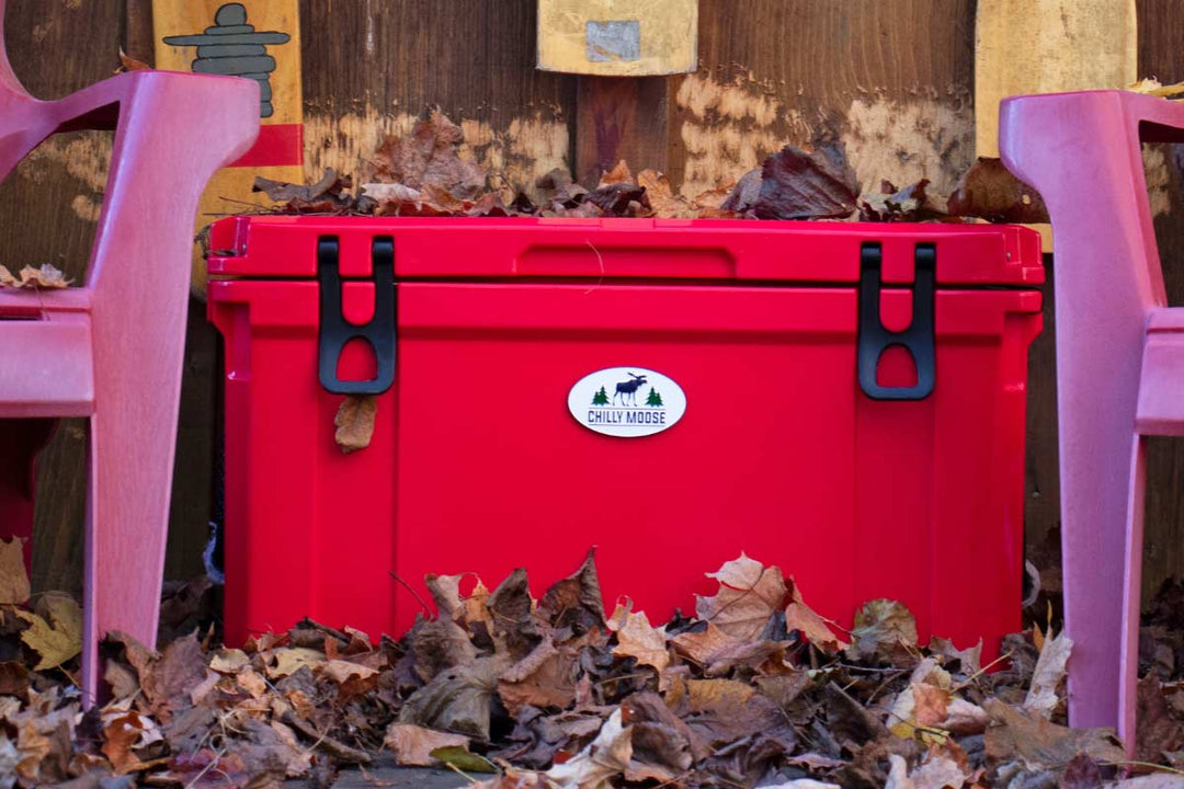 Bear Resistant Coolers: What It Means and How the Chilly Ice Box Holds Up