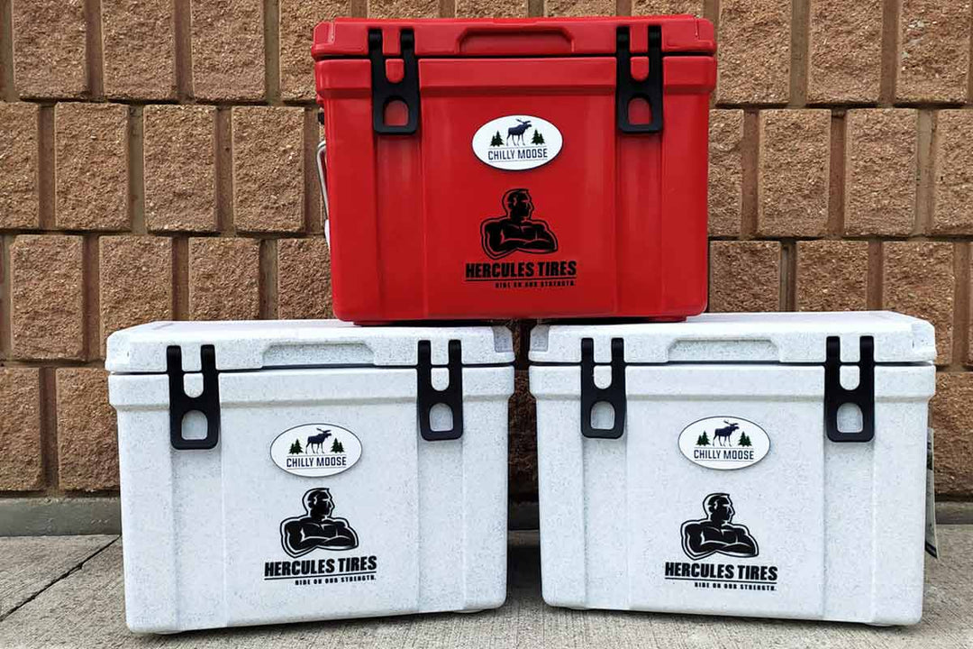 Best Coolers in Canada: Perfect Valentine's Day Gift Ideas