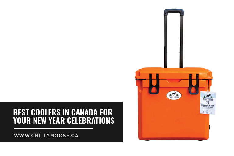 Best Coolers in Canada for Your New Year Celebrations