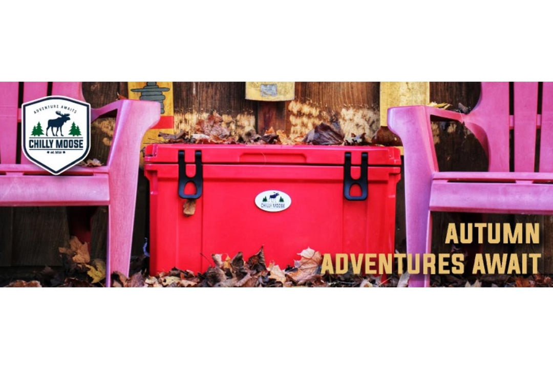 Easy Tips to Pack Customizable Coolers with Warm Soups and Cold Sodas for Fall Hikes