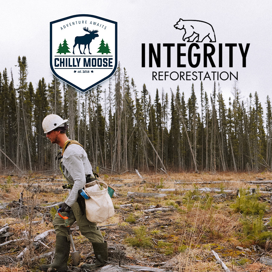 Chilly Moose & Integrity Reforestation