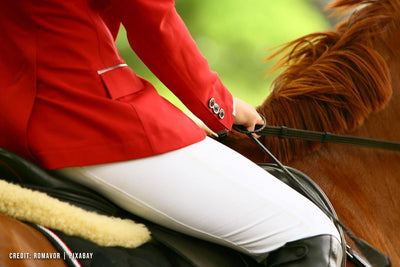 Portable Outdoor Coolers at the Royal Agricultural Winter Fair: Smart Storage, Seat, and Snack Station in One