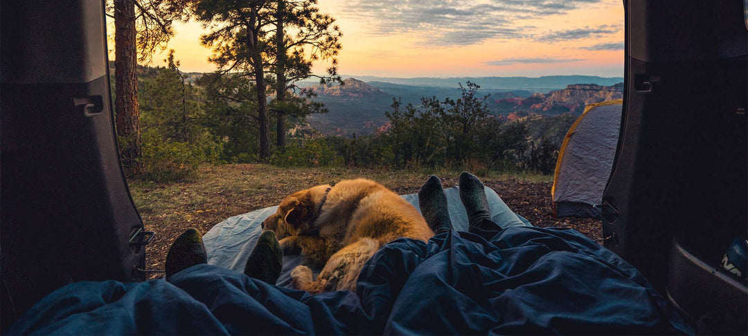 Get Summer & Long Weekend Ready With Chilly Moose