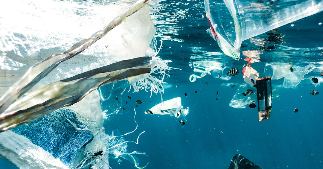 The Impact Of Single-Use Plastic