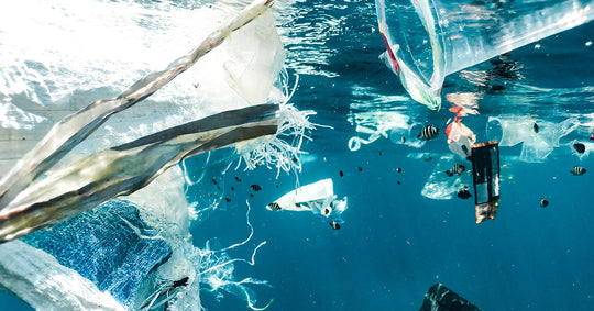 L'impact du plastique à usage unique