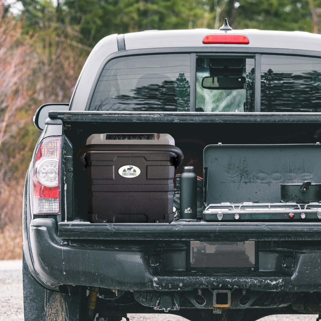 PORTABLE FRIDGE-FREEZERS