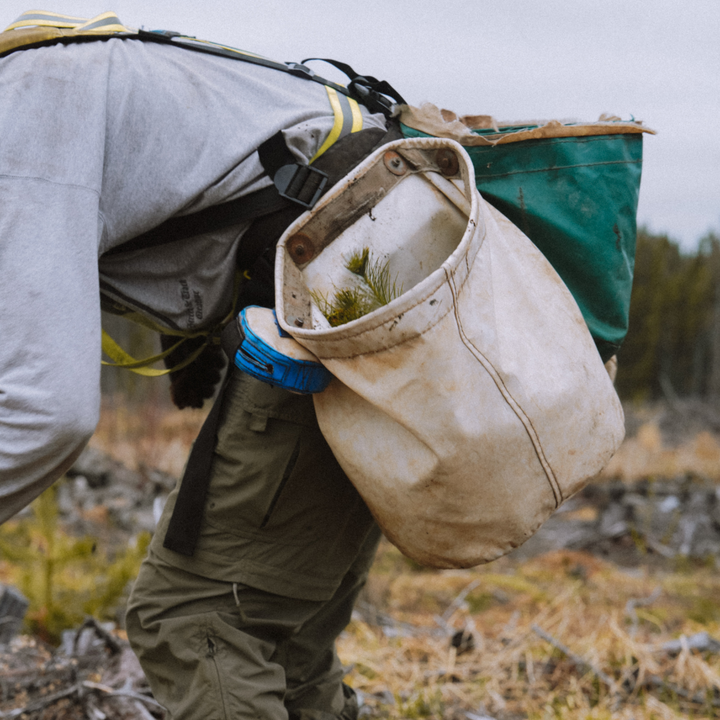 Plant Trees With Chilly Moose