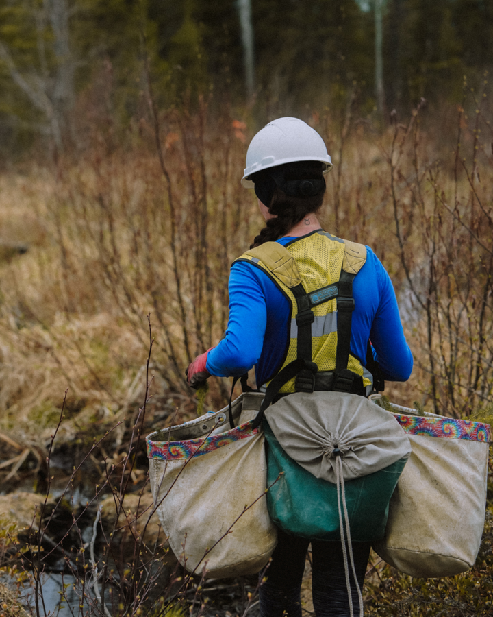 Plant Trees With Chilly Moose