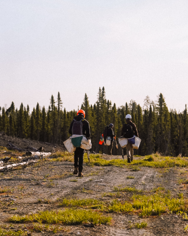 Plant Trees With Chilly Moose