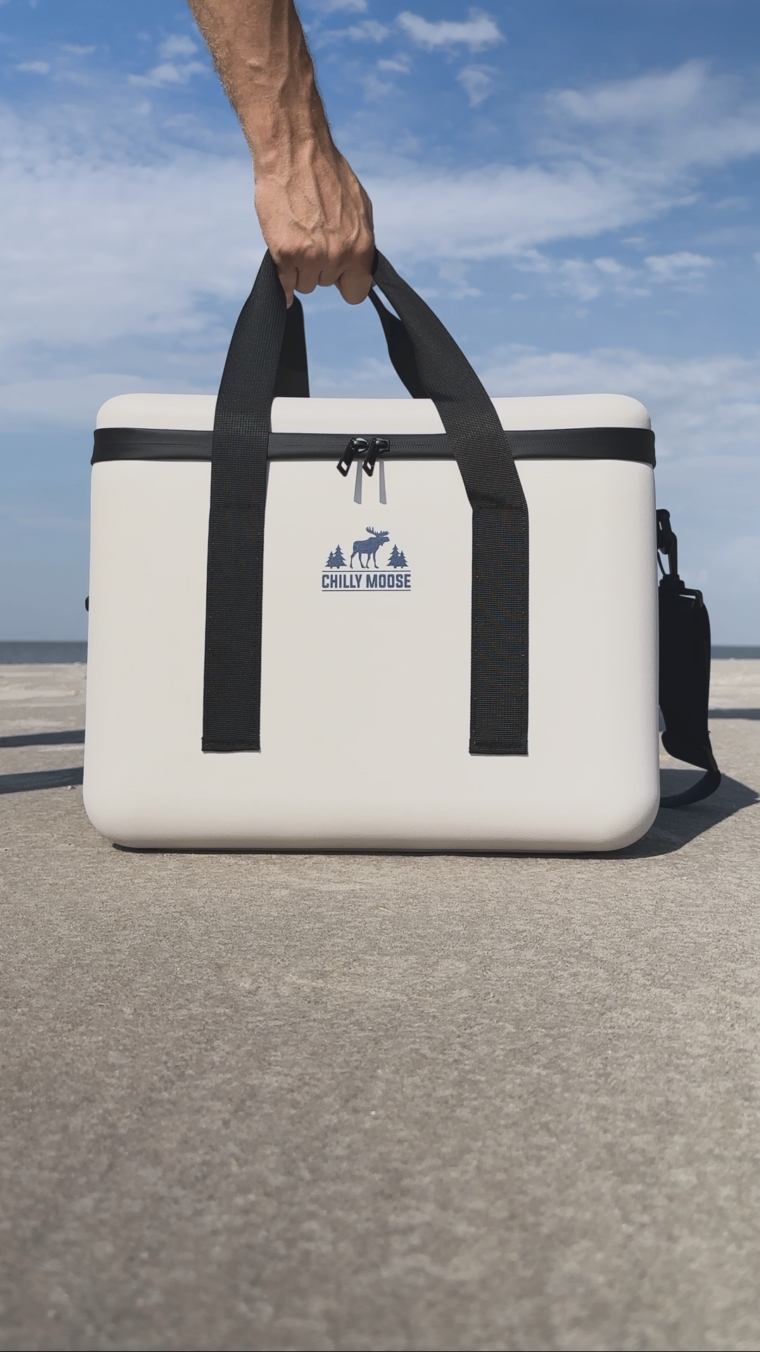 Bowen Cooler Bag 16L in Frost White – Chilly Moose –  carry handle #colour_frost-white