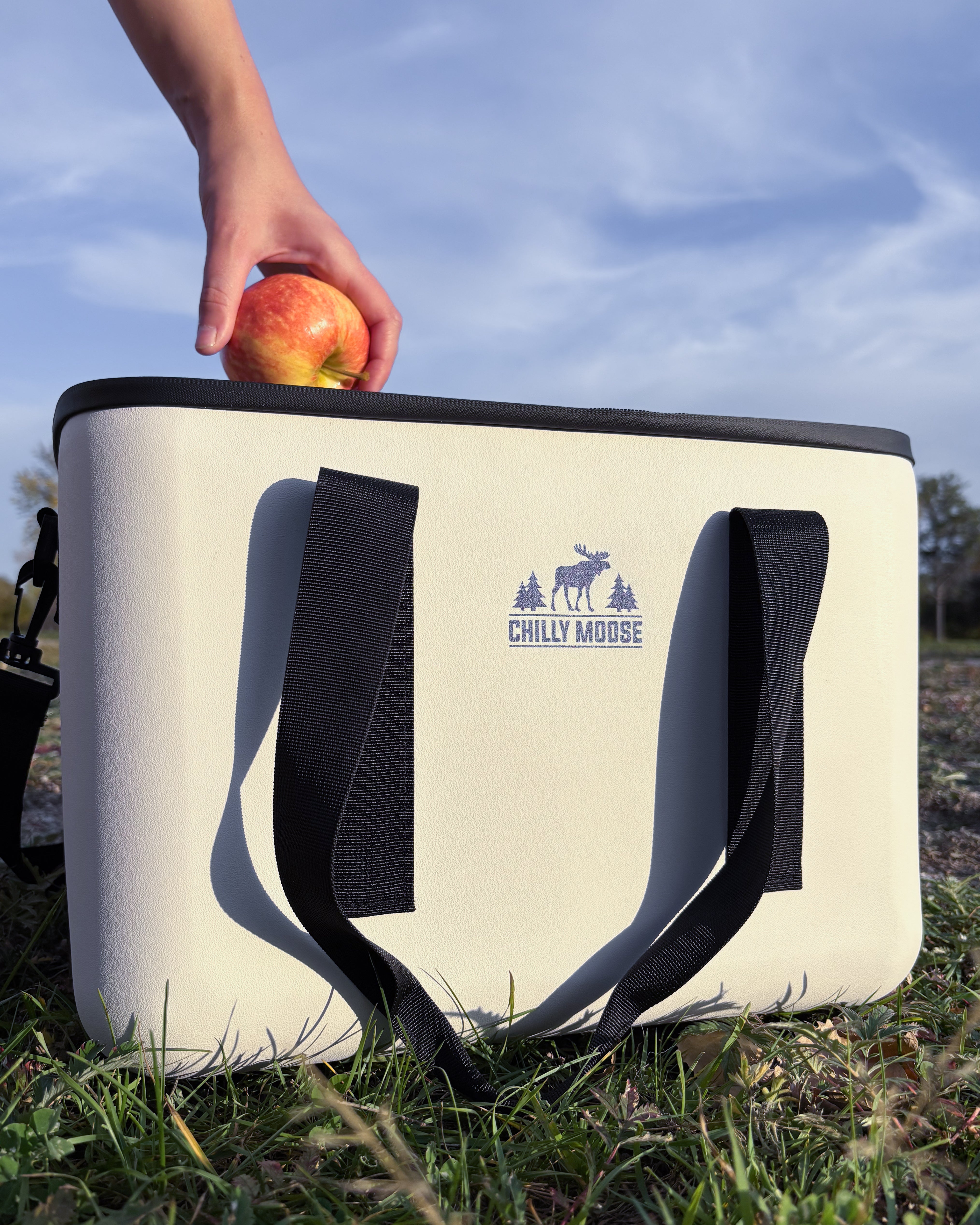 16L Bowen Cooler Bag | Soft Coolers & Bags | Chilly Moose