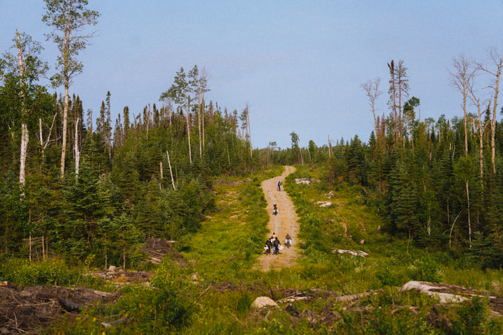Plant Trees With Chilly Moose
