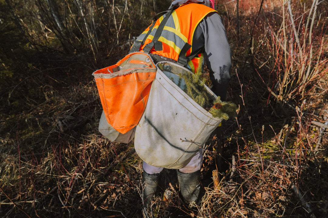 Plant Trees With Chilly Moose