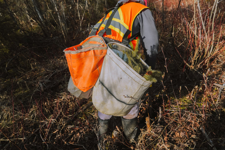 Plant Trees With Chilly Moose