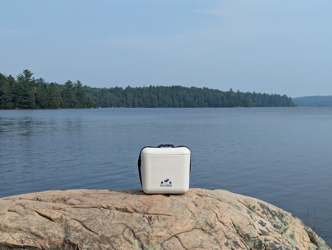 9L Cabot Cooler Cube in Frost White – Chilly Moose – lifestyle in national park #colour_frost-white