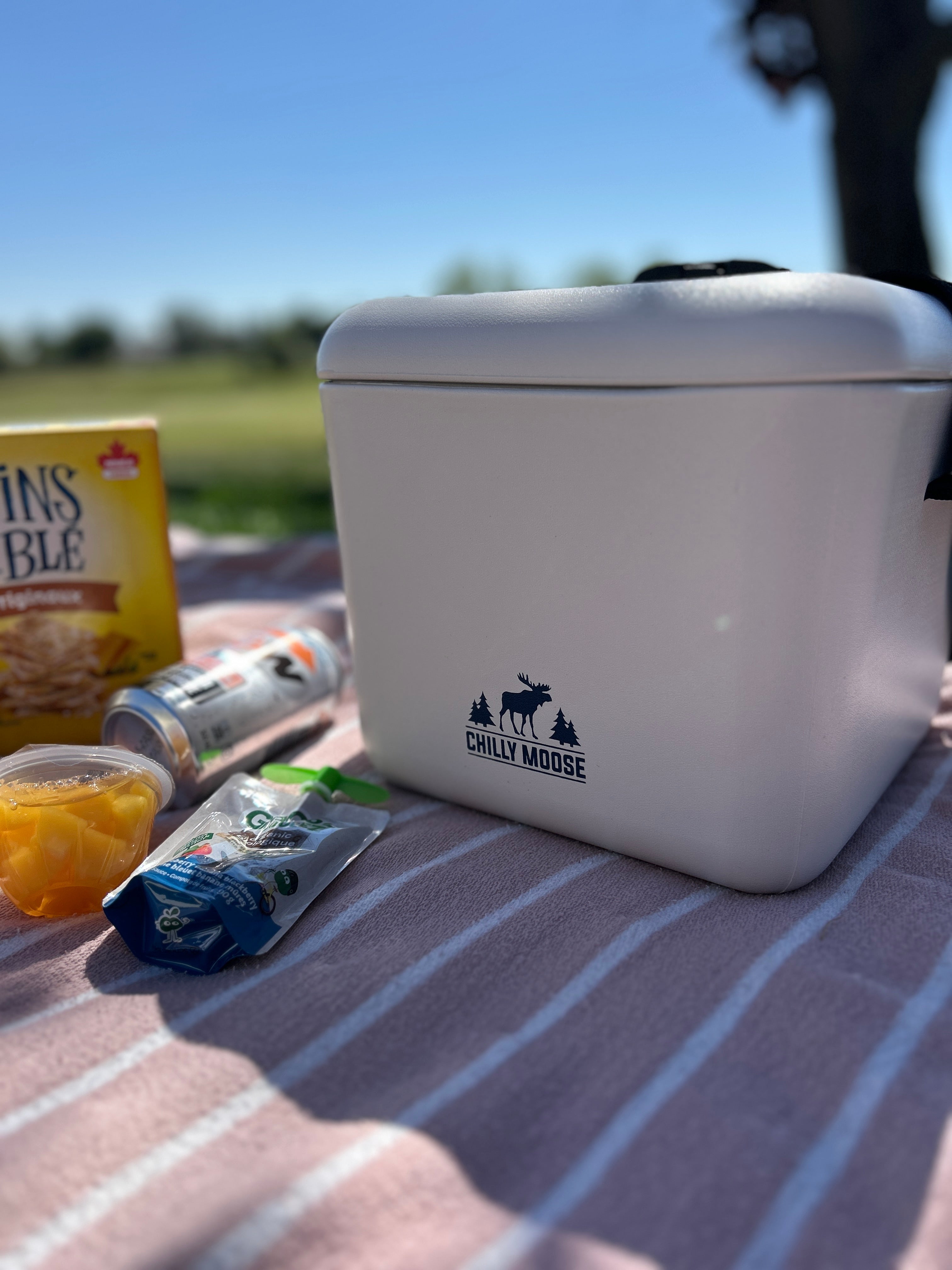 9L Cabot Cooler Cube | Soft Coolers & Bags | Chilly Moose